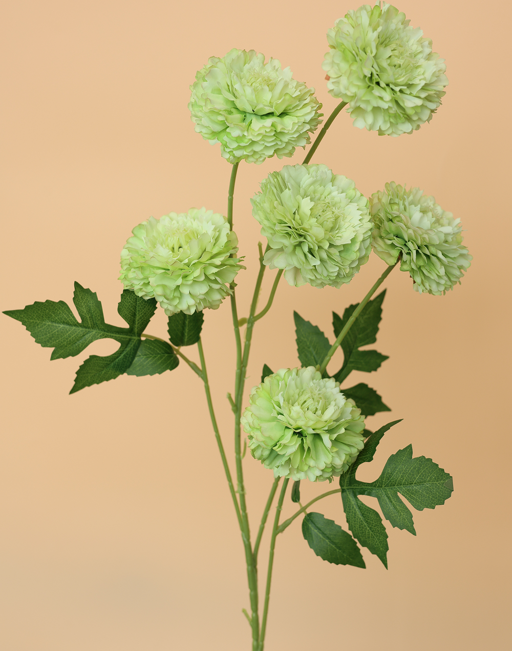 Green 6-Head Pompom Spray