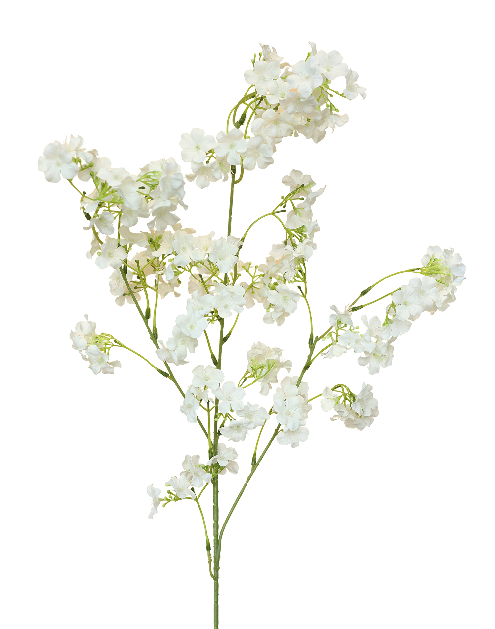 Pacific Cherry Blossom | Available in 3 Colors