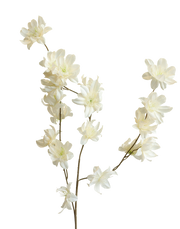 Ivory Lily Spray