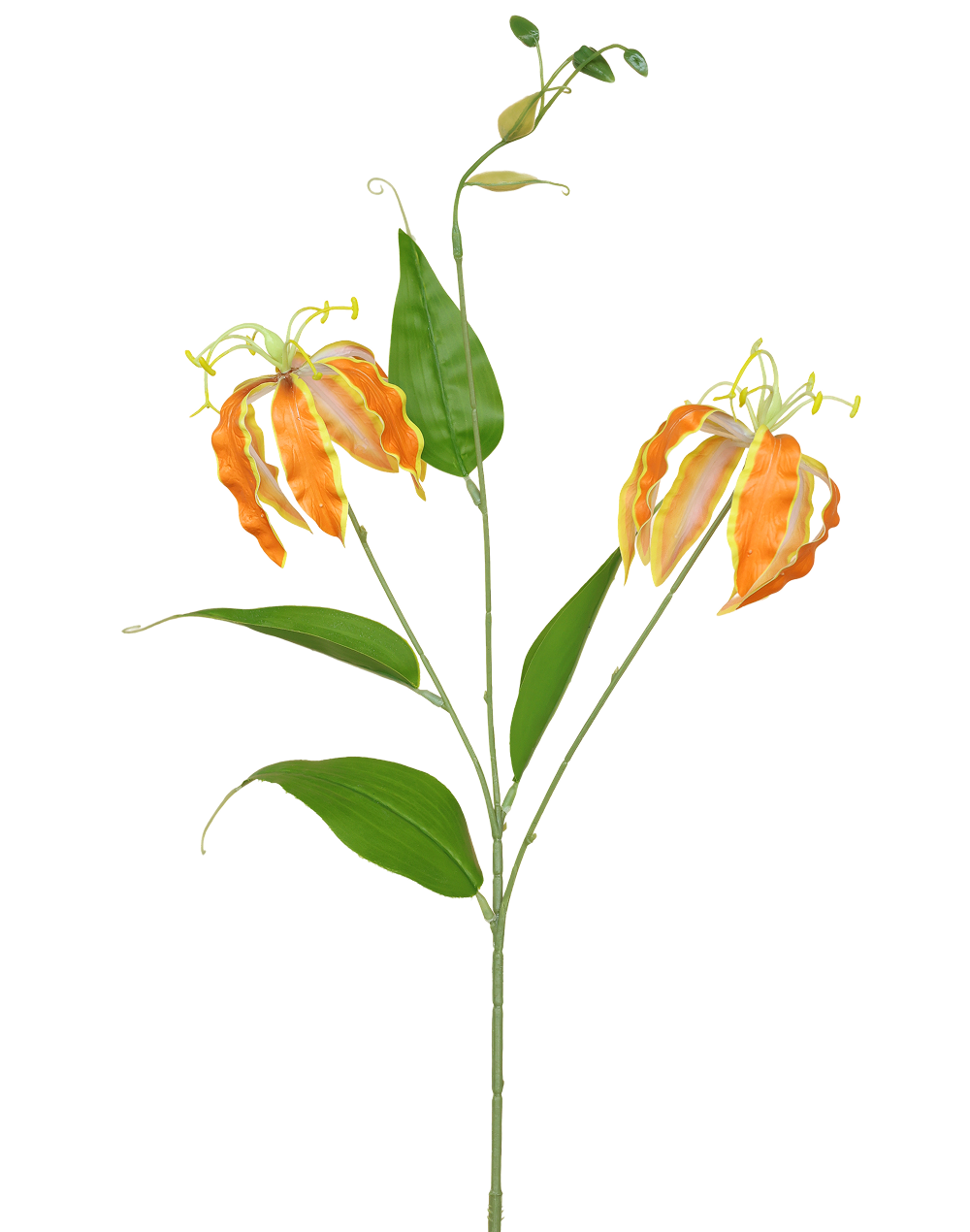 Glorisa Lily | Available in 3 Colors