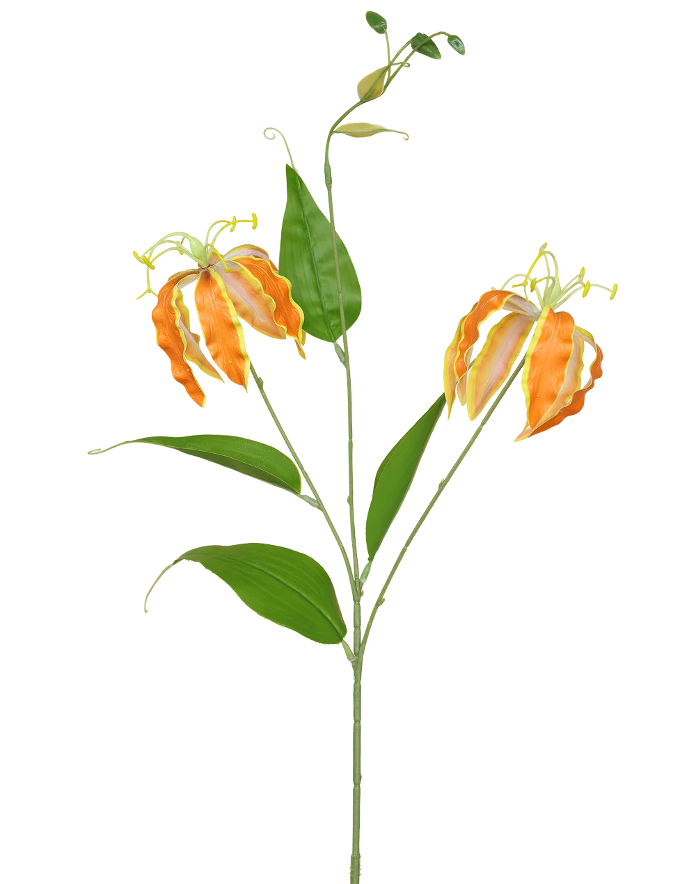 Glorisa Lily | Available in 3 Colors