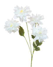 White Dahlia