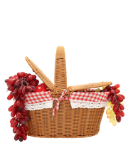 Elio Woven Basket
