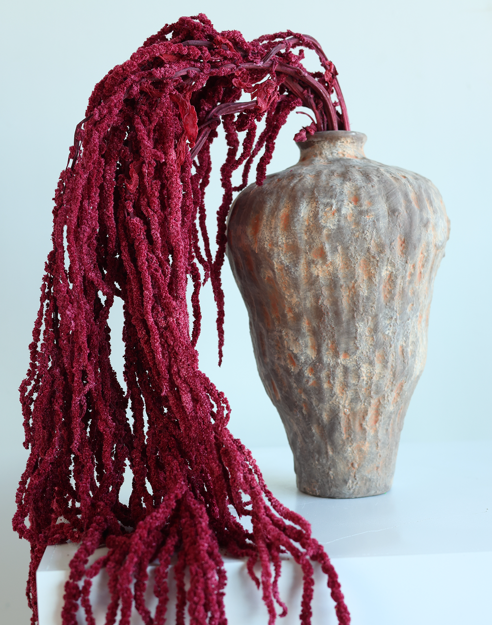 Amaranthus Dried