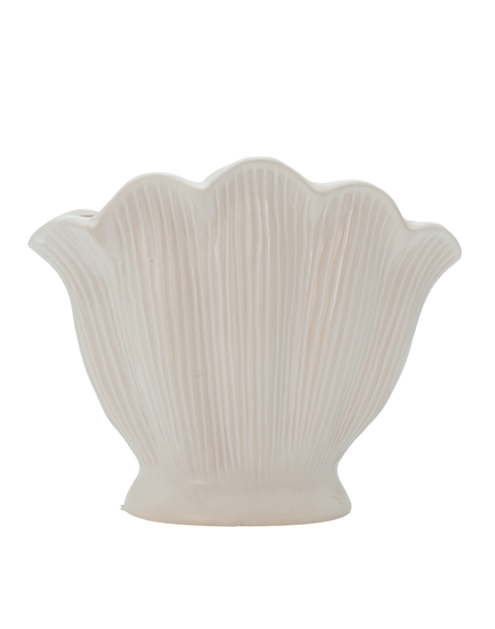 Shell White Vase- Medium White