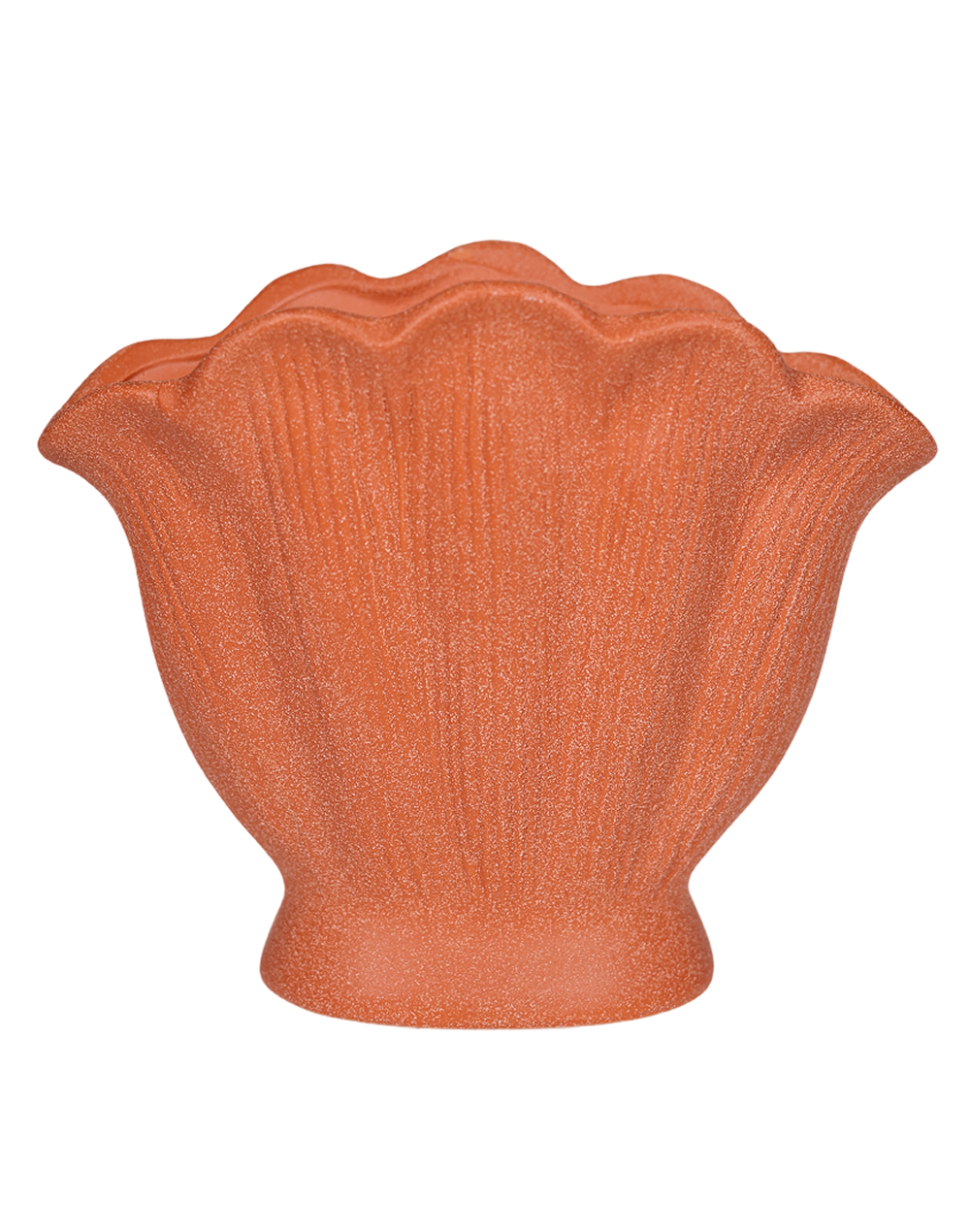 Shell Terracotta- Large