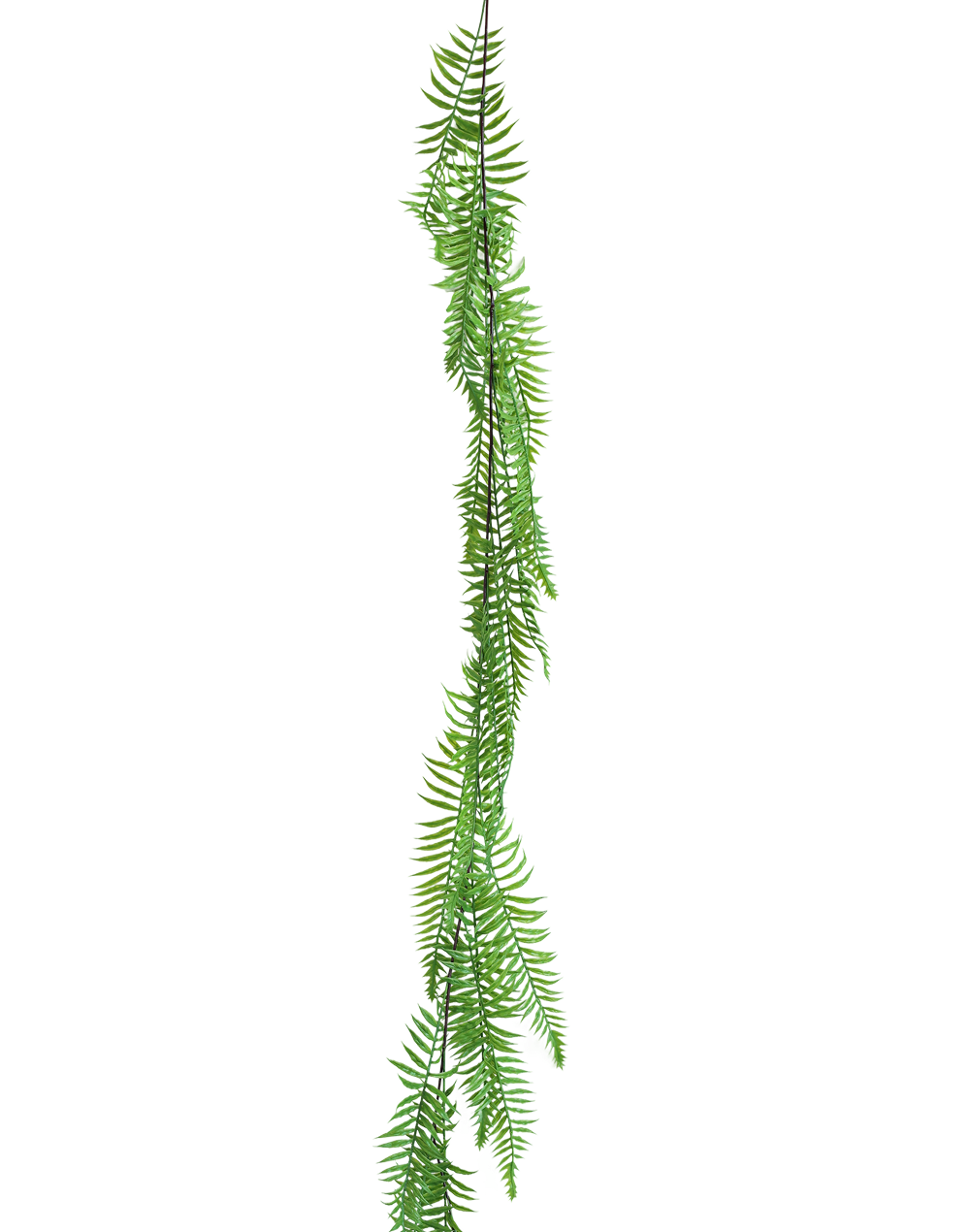 Hanging Fern-72"