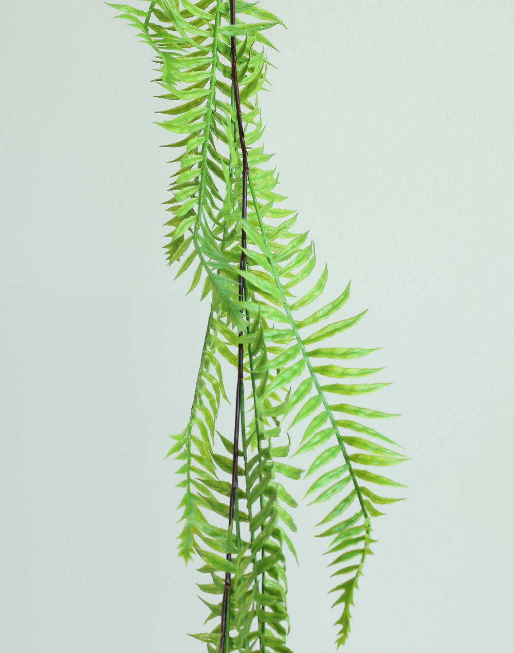 Hanging Fern-72"