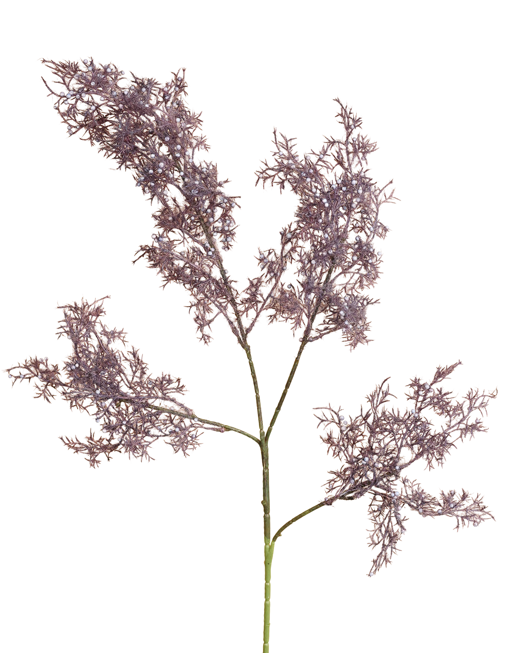 Plume Branch – Available in 3 Colors