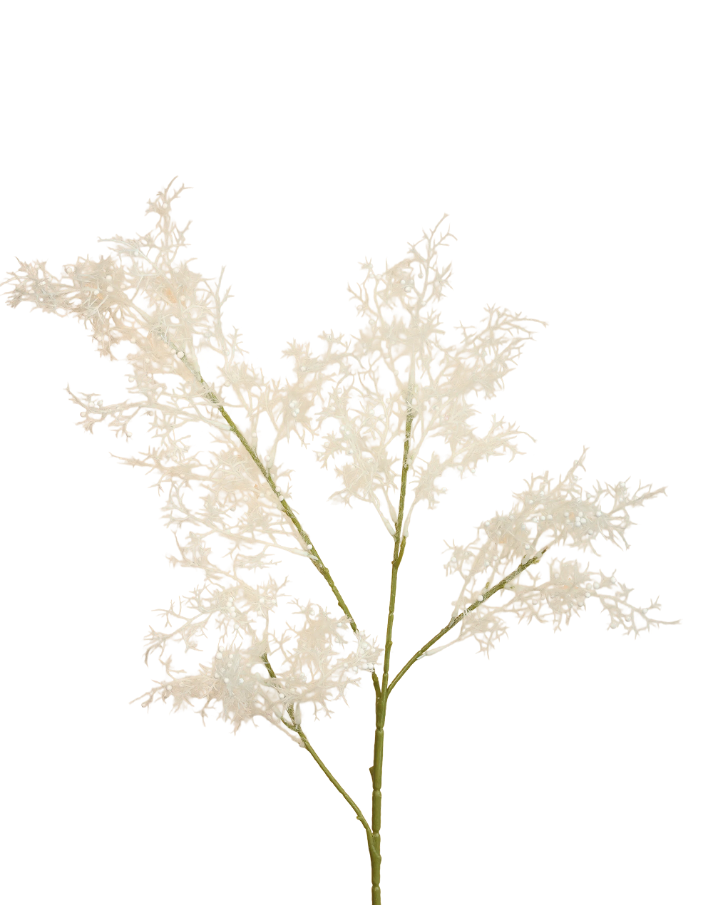 Plume Branch – Available in 3 Colors