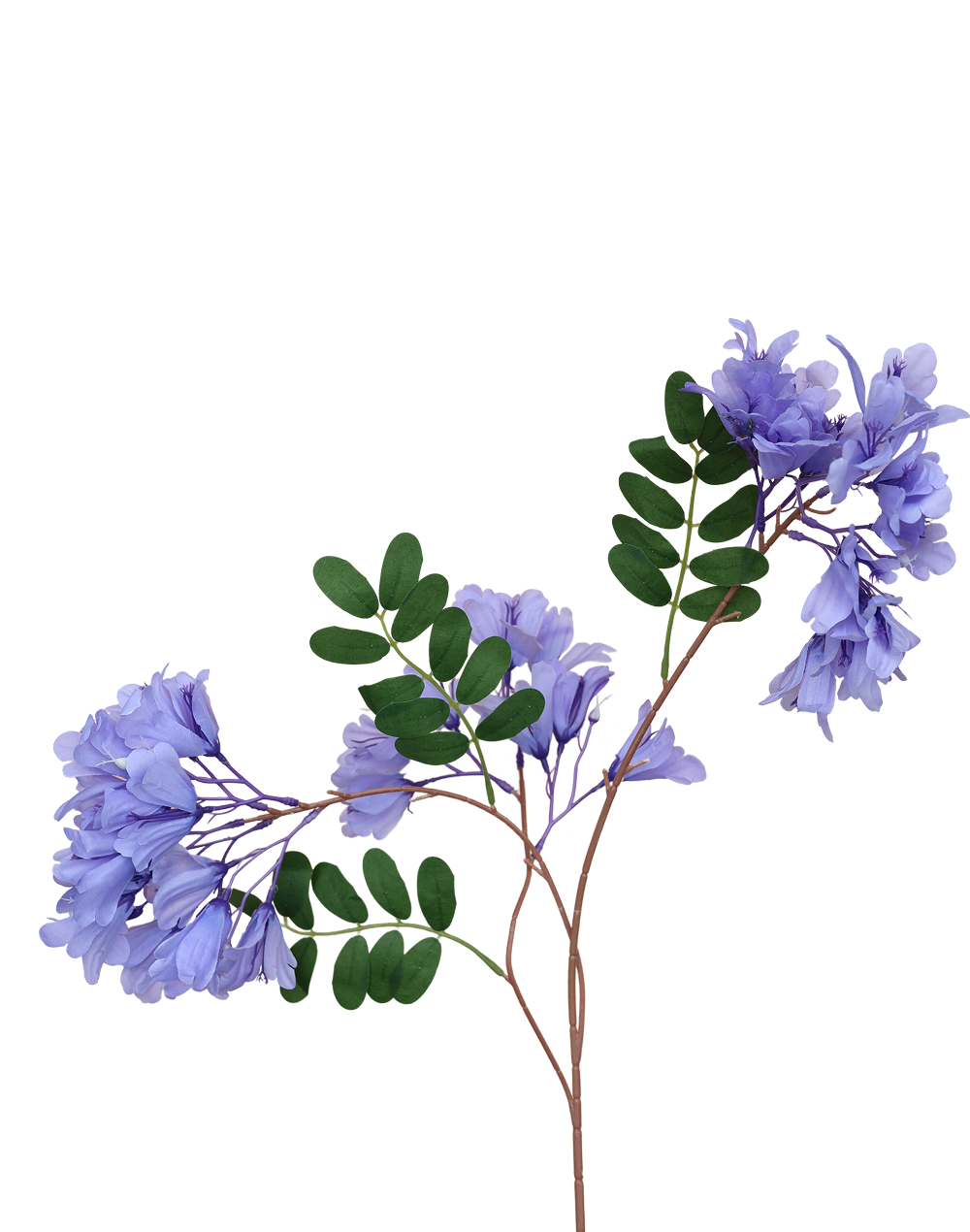 Jacaranda | Available in 4 Colors