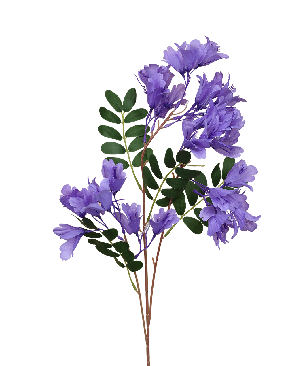 Jacaranda | Available in 4 Colors
