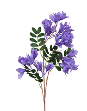 Jacaranda | Available in 4 Colors