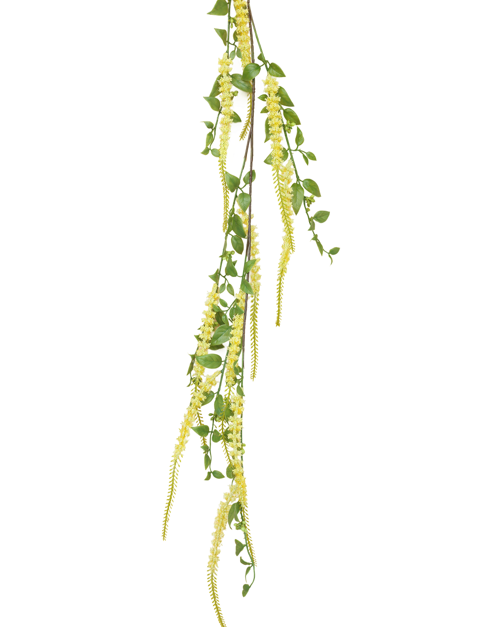 Weeping Buddleja | Available in 5 Colors