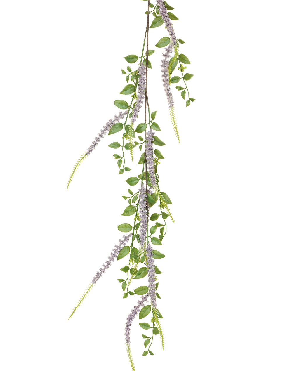 Weeping Buddleja | Available in 5 Colors