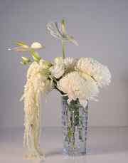 Venetta Bud Vase Clear