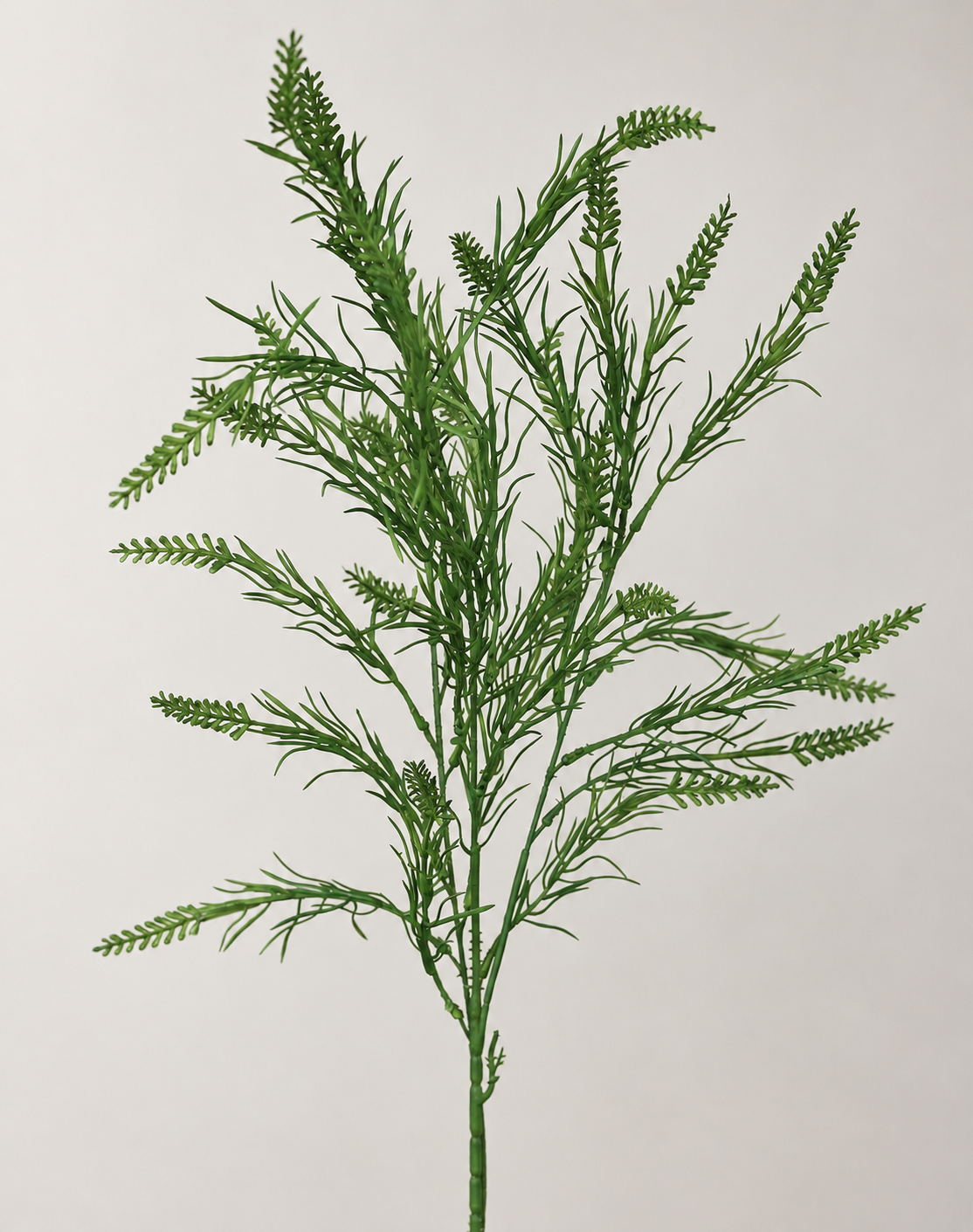 Sage Green Rice Green