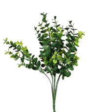 Boxwood Bush-12"