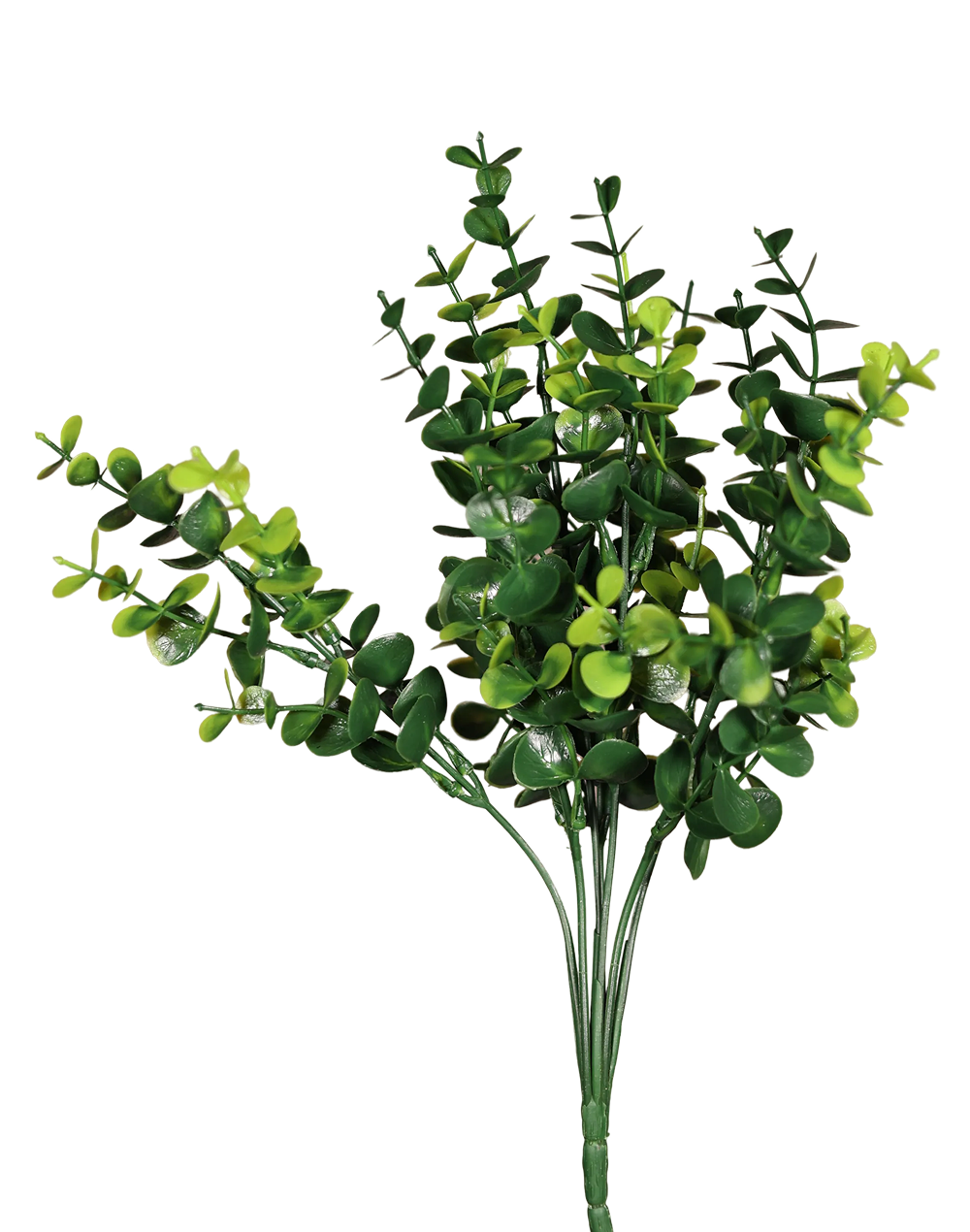 Boxwood Bush-12"