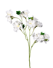 White Bougainvillea - 33" White