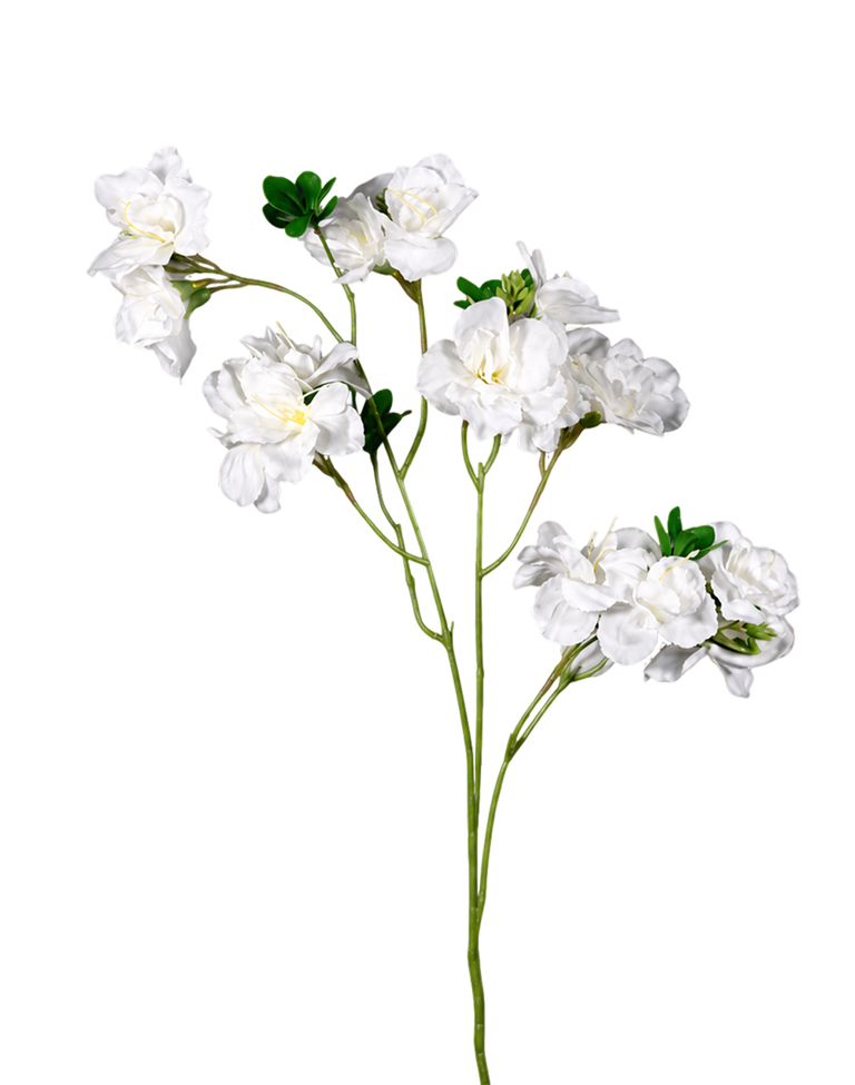 White Bougainvillea - 33" White