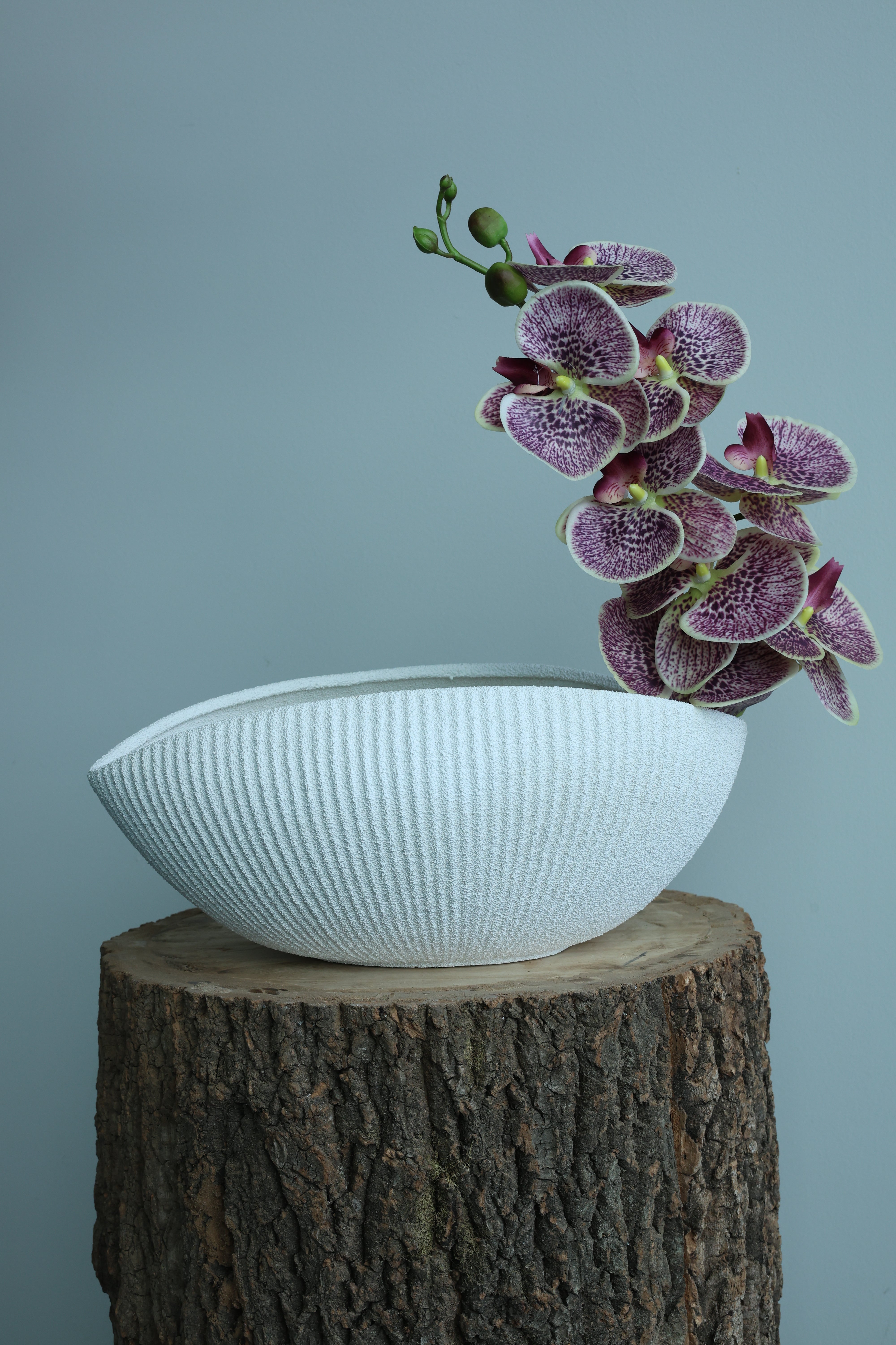 Orchid Geometric Planter