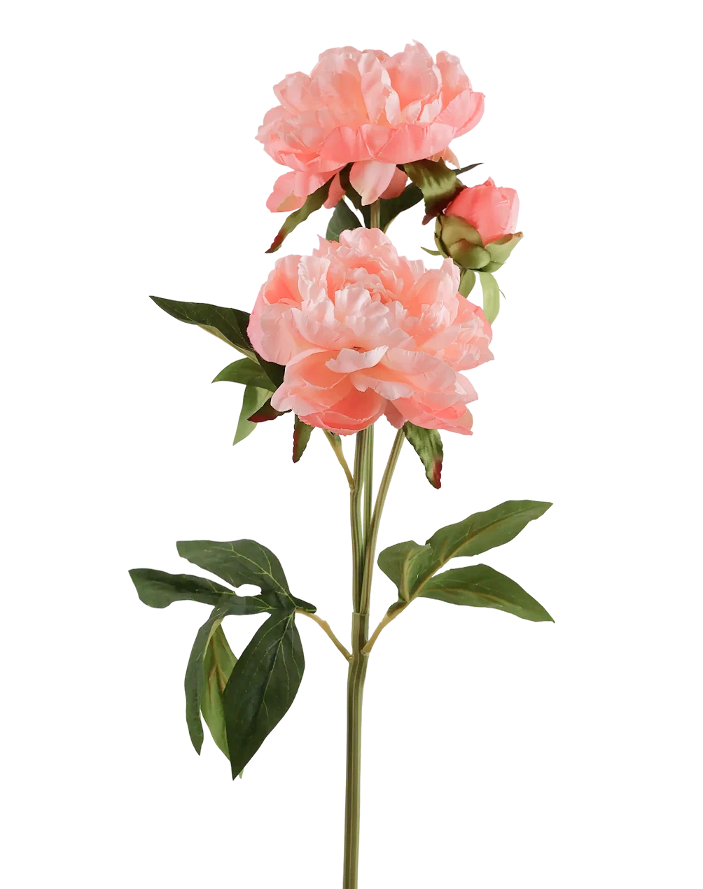 Artificial Peony Flowers | Available in 7 Colors