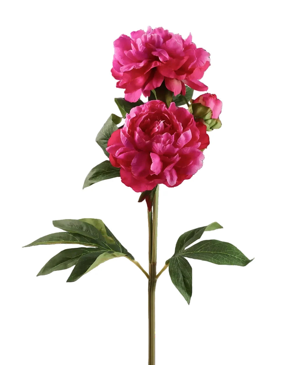 Artificial Peony Flowers | Available in 7 Colors