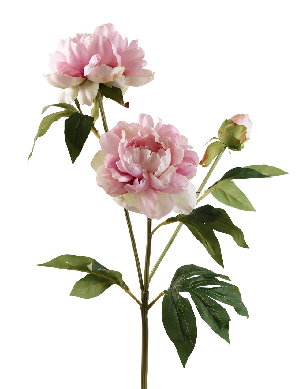 Artificial Peony Flowers | Available in 7 Colors