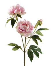 Artificial Peony Flowers | Available in 7 Colors