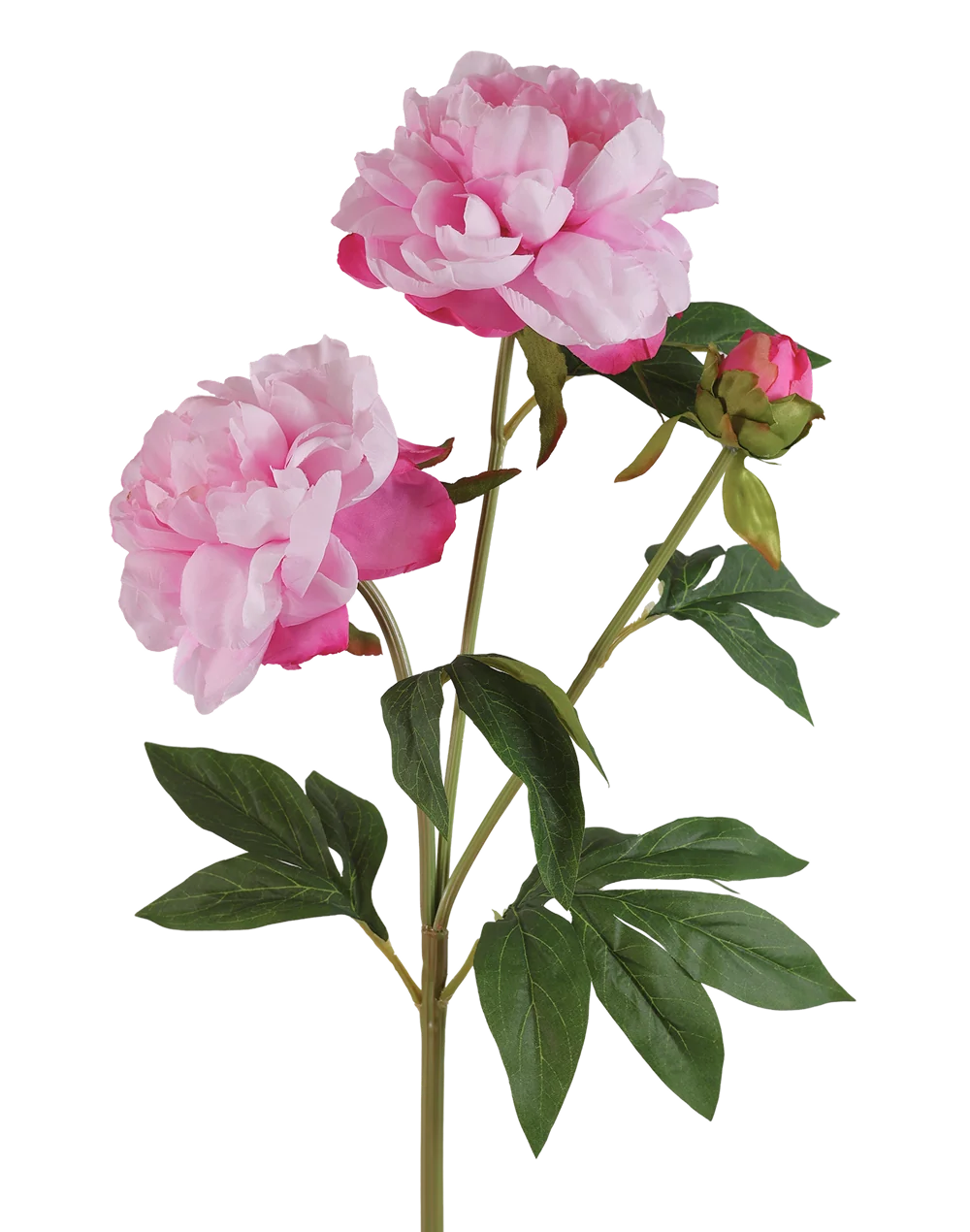 Artificial Peony Flowers | Available in 7 Colors