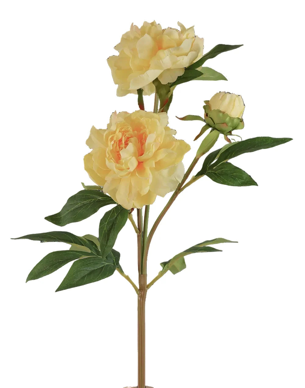 Artificial Peony Flowers | Available in 7 Colors