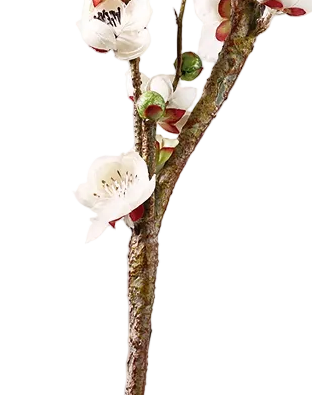 Quince Branch | Available in 4 Colors
