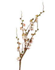 Quince Branch | Available in 4 Colors