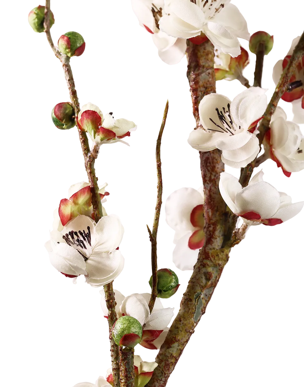 Quince Branch | Available in 4 Colors