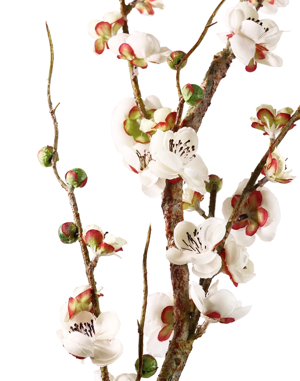 Quince Branch | Available in 4 Colors