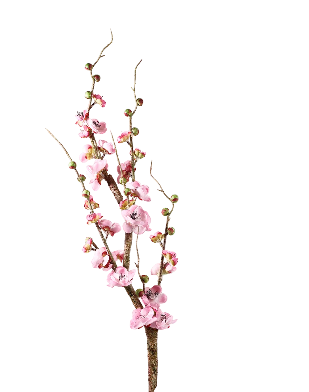 Quince Branch | Available in 4 Colors