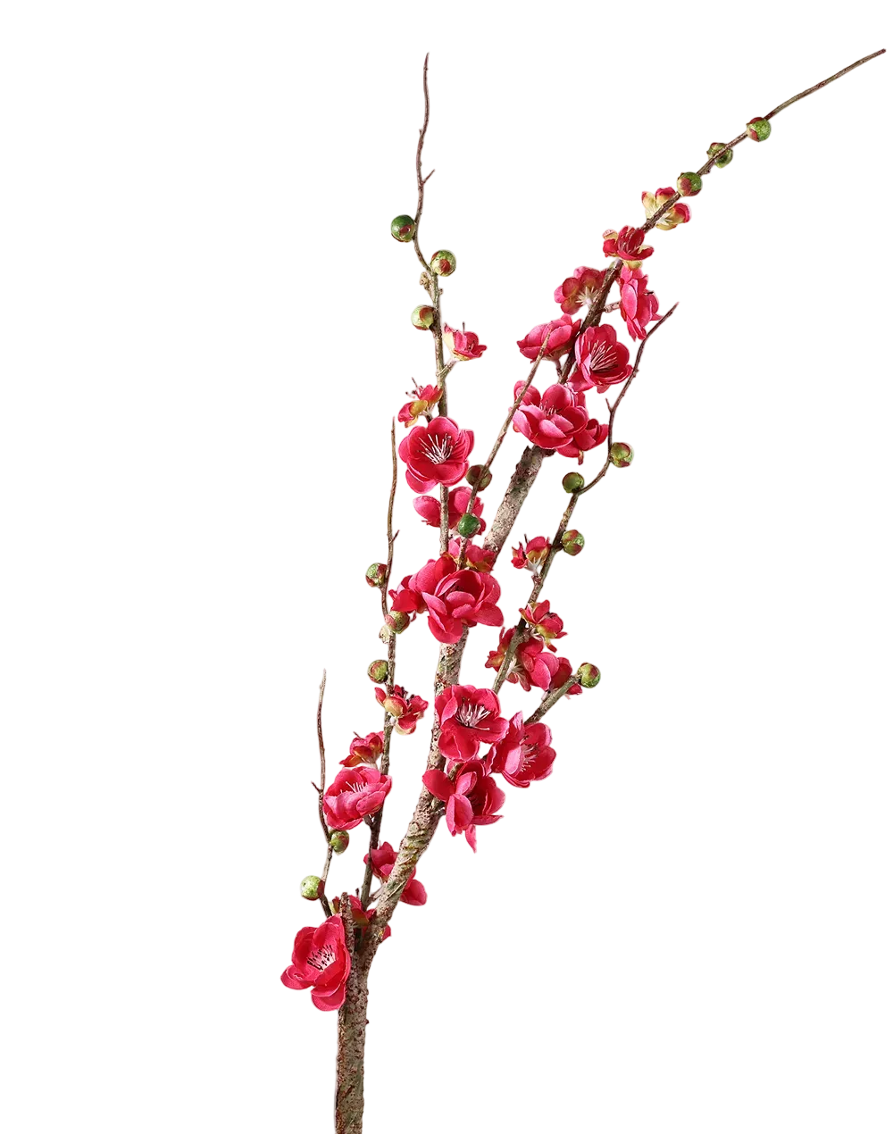 Quince Branch | Available in 4 Colors
