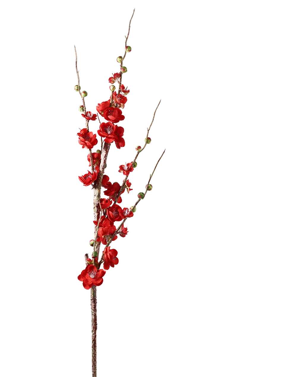 Quince Branch | Available in 4 Colors