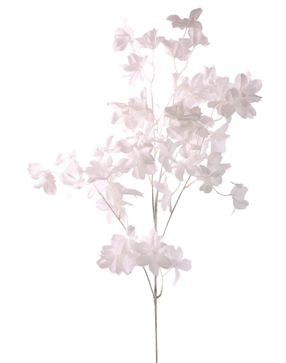 White Blossom