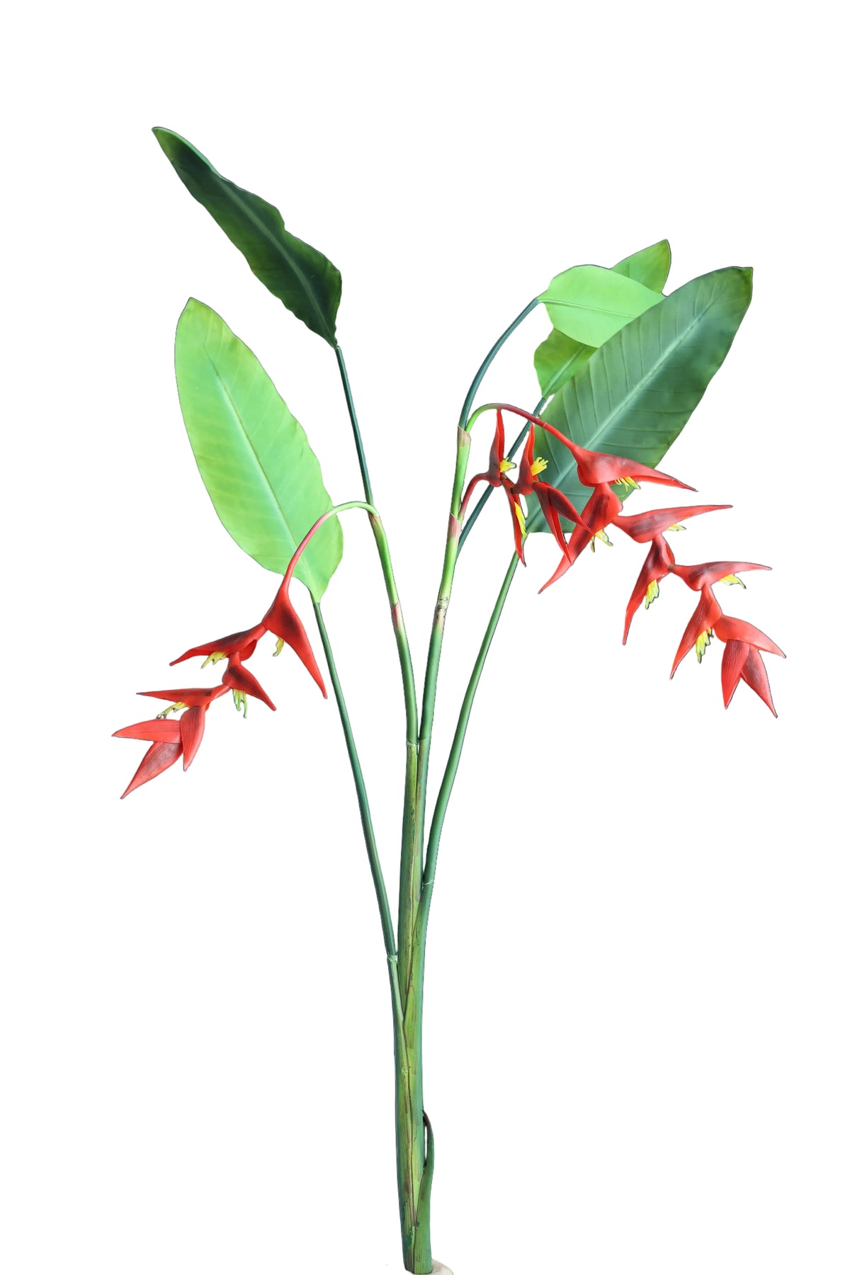 Heliconia Bunch | Available in 3 Colors