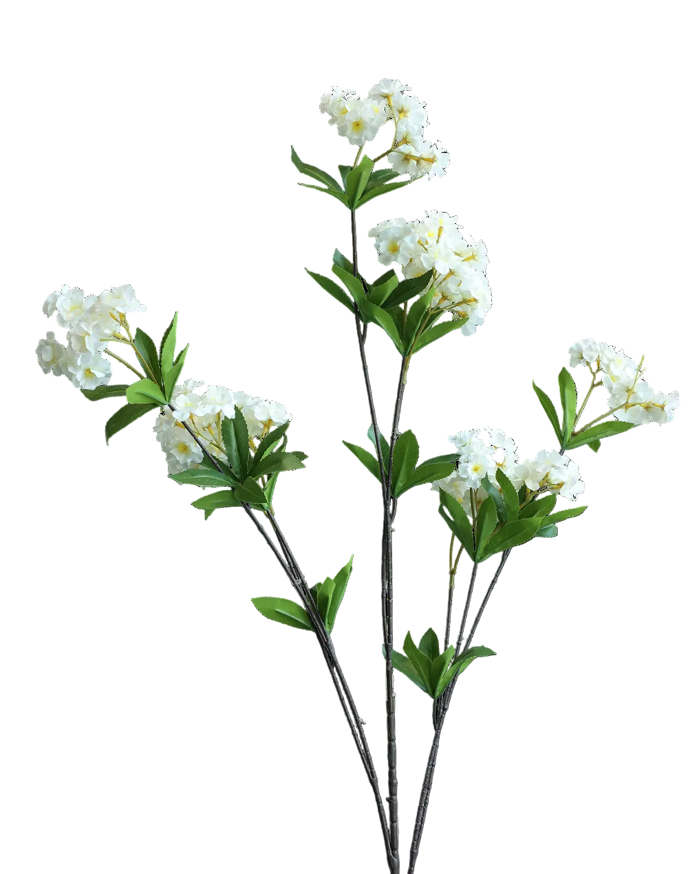 White Cherry Blossom-52"