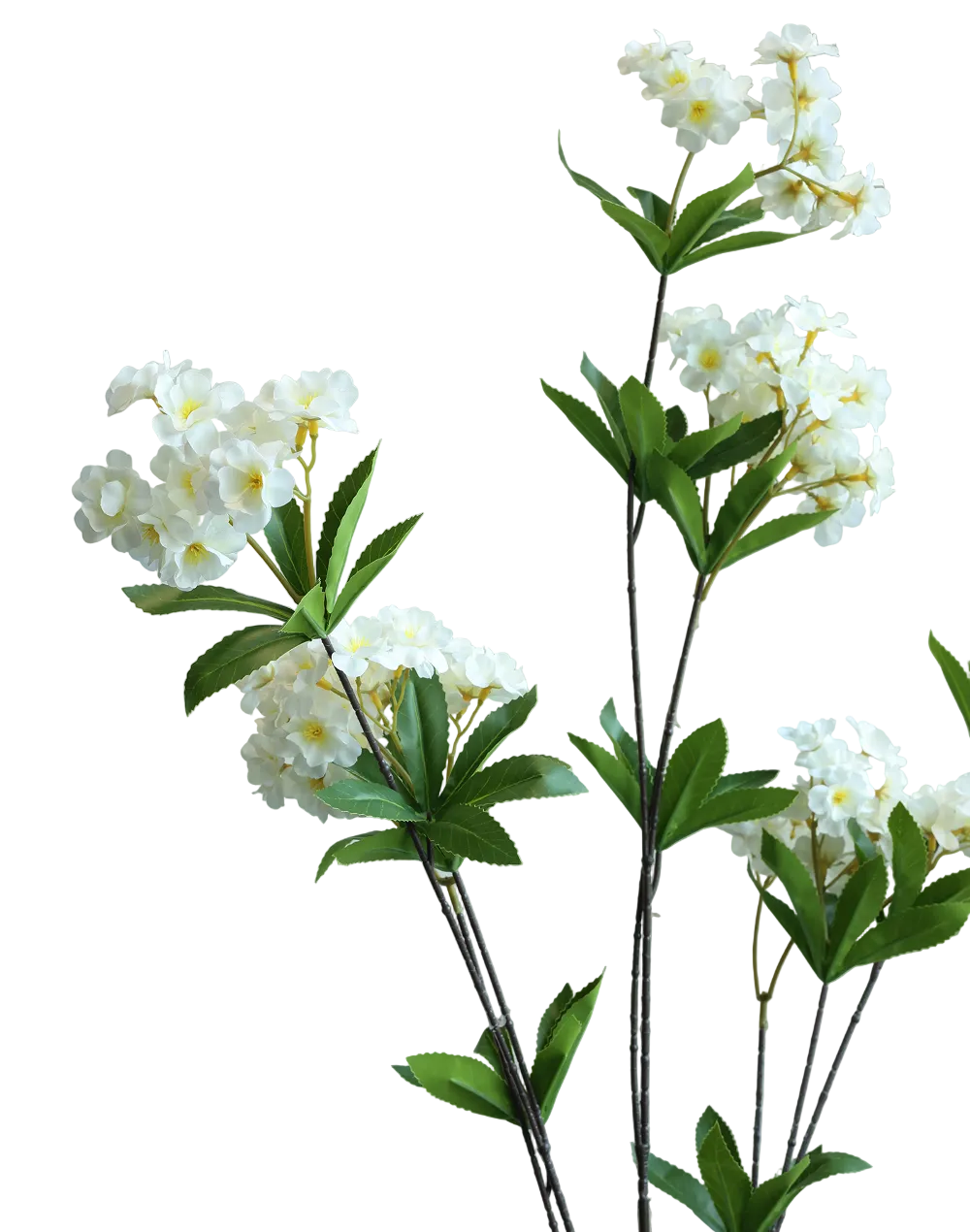 White Cherry Blossom-52"