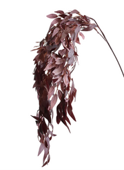 Hanging Plum Willow