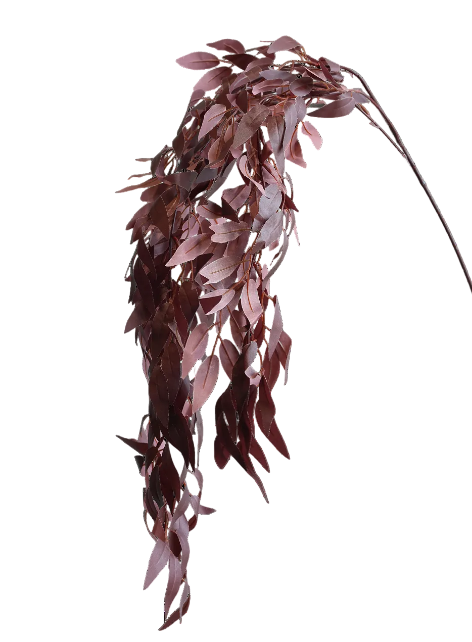 Hanging Plum Willow