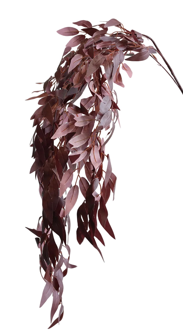 Hanging Plum Willow
