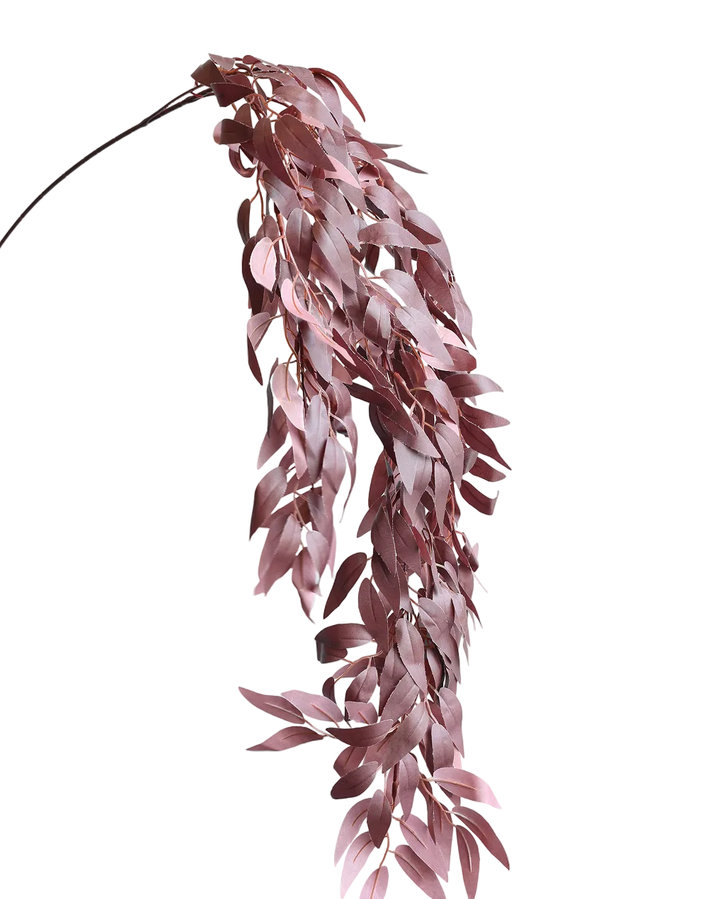 Hanging Plum Willow