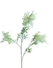 Frosted Caspia