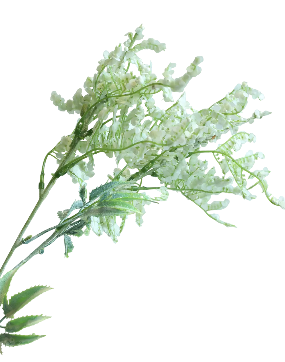 Frosted Caspia