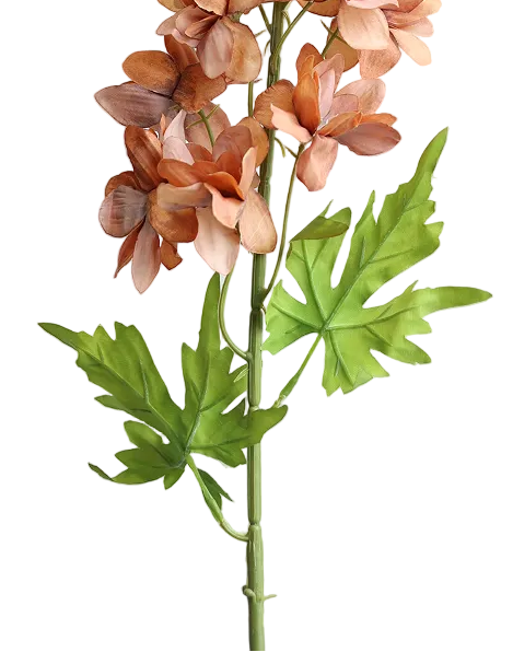 Terracotta Delphinium